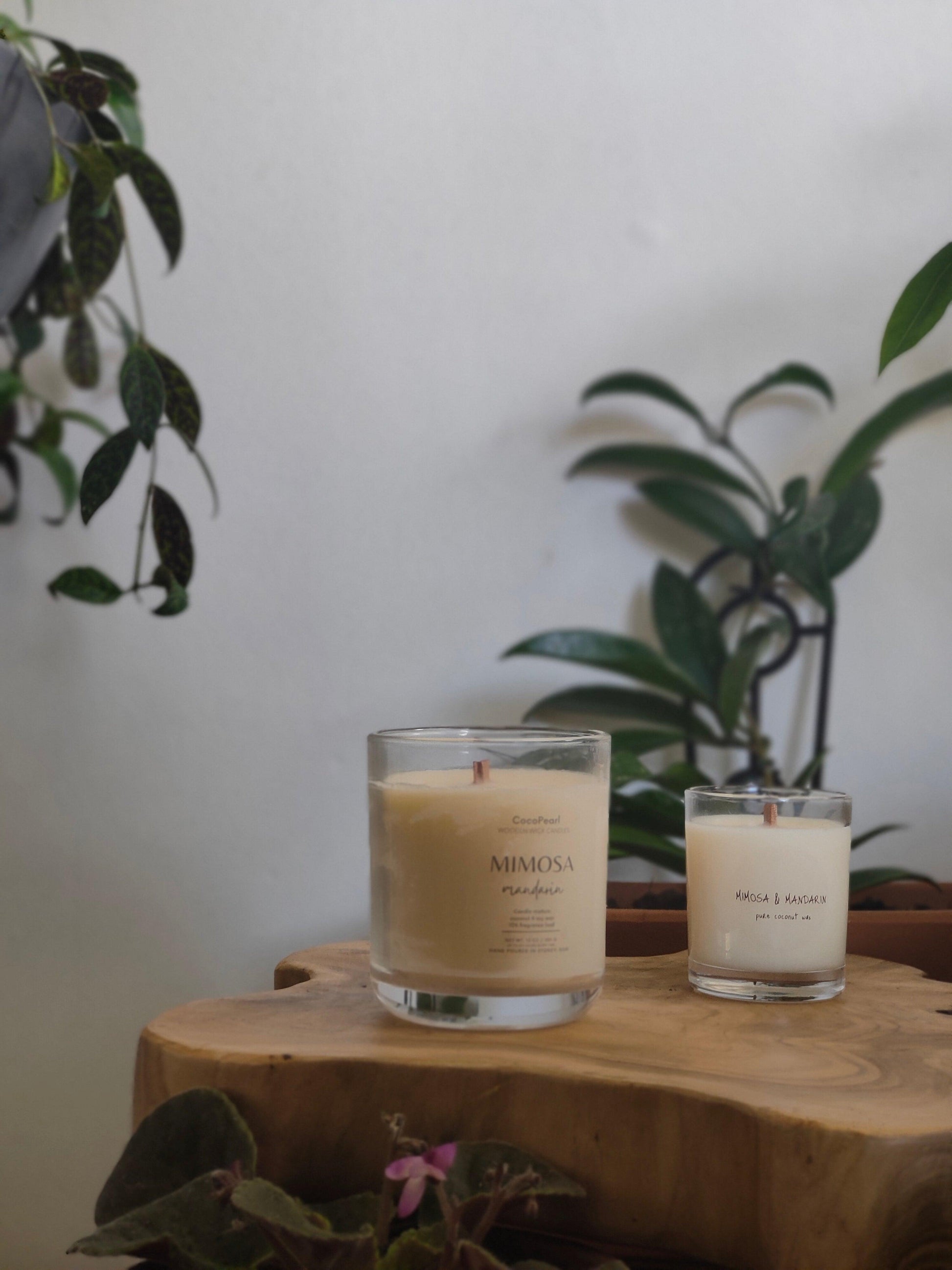 Mimosa & Mandarin | Wooden wick - CocoPearl Candles