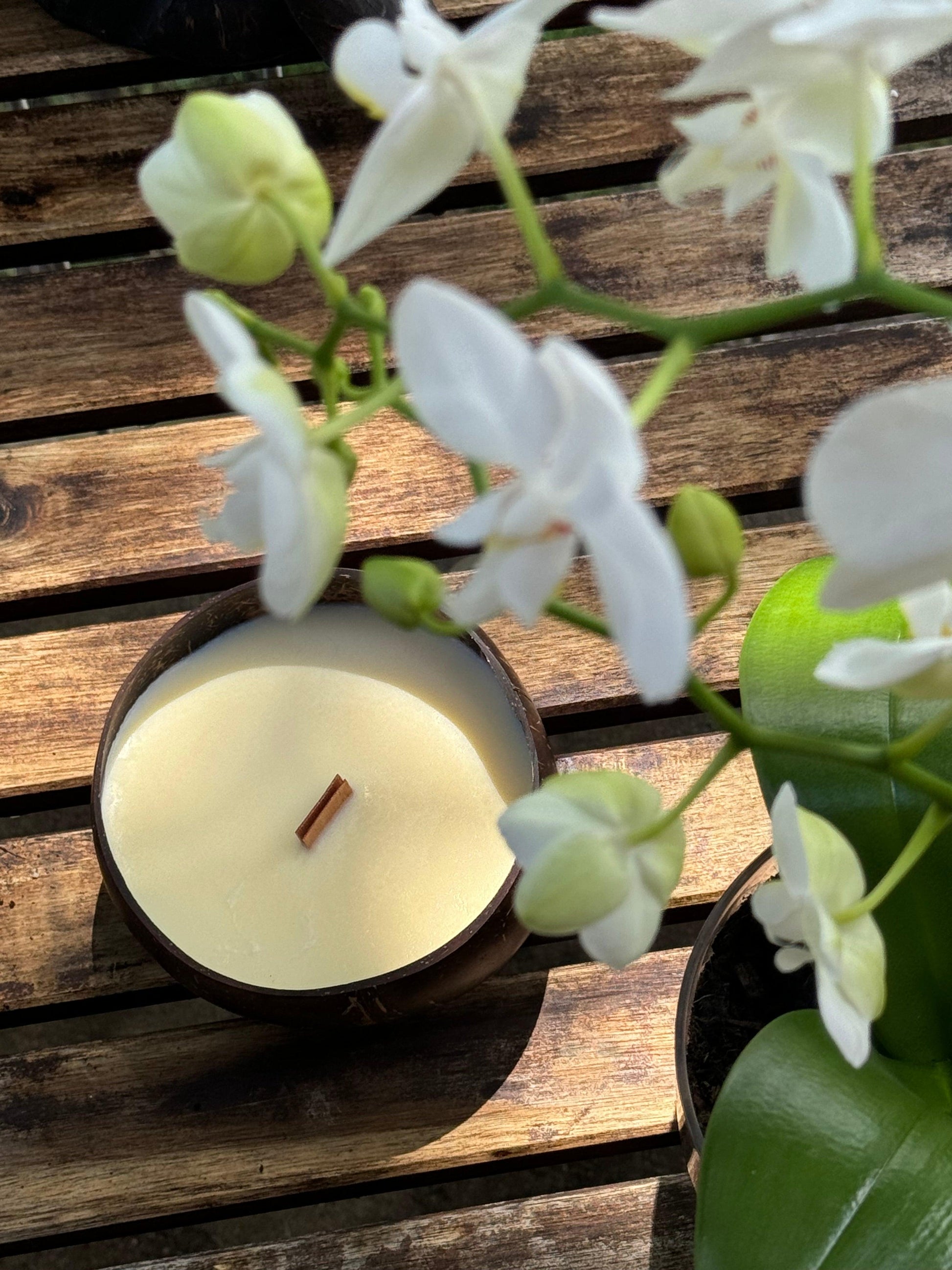Summer vibes Coconut Shell Candle | Pure Coconut Wax - CocoPearl Candles