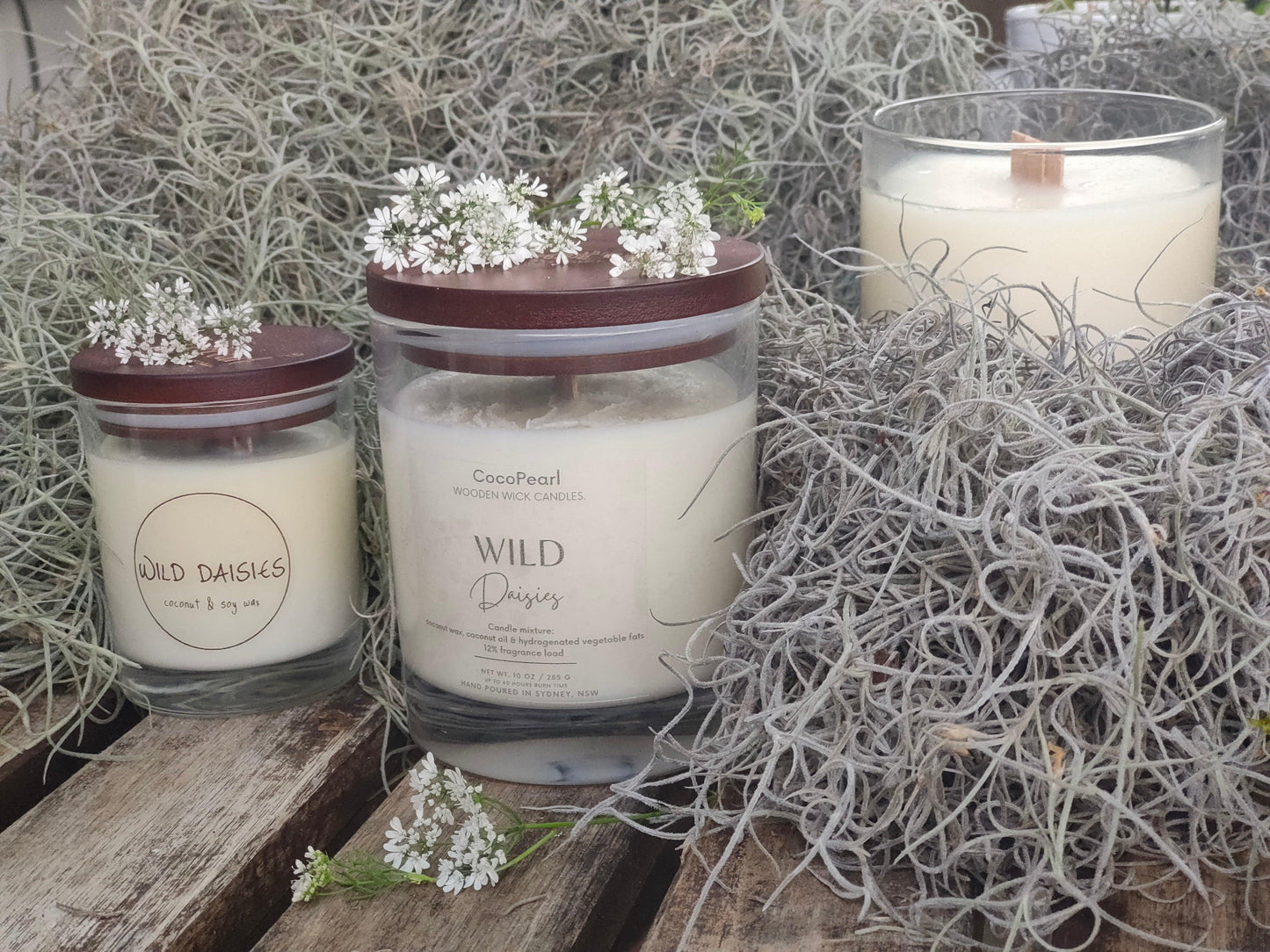 Wild Daisies | Wooden wick - CocoPearl Candles